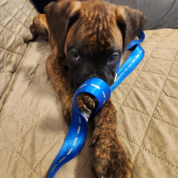 Come join me for a live show. 💜❤️. Come join the fun. - Picture 2 of 16